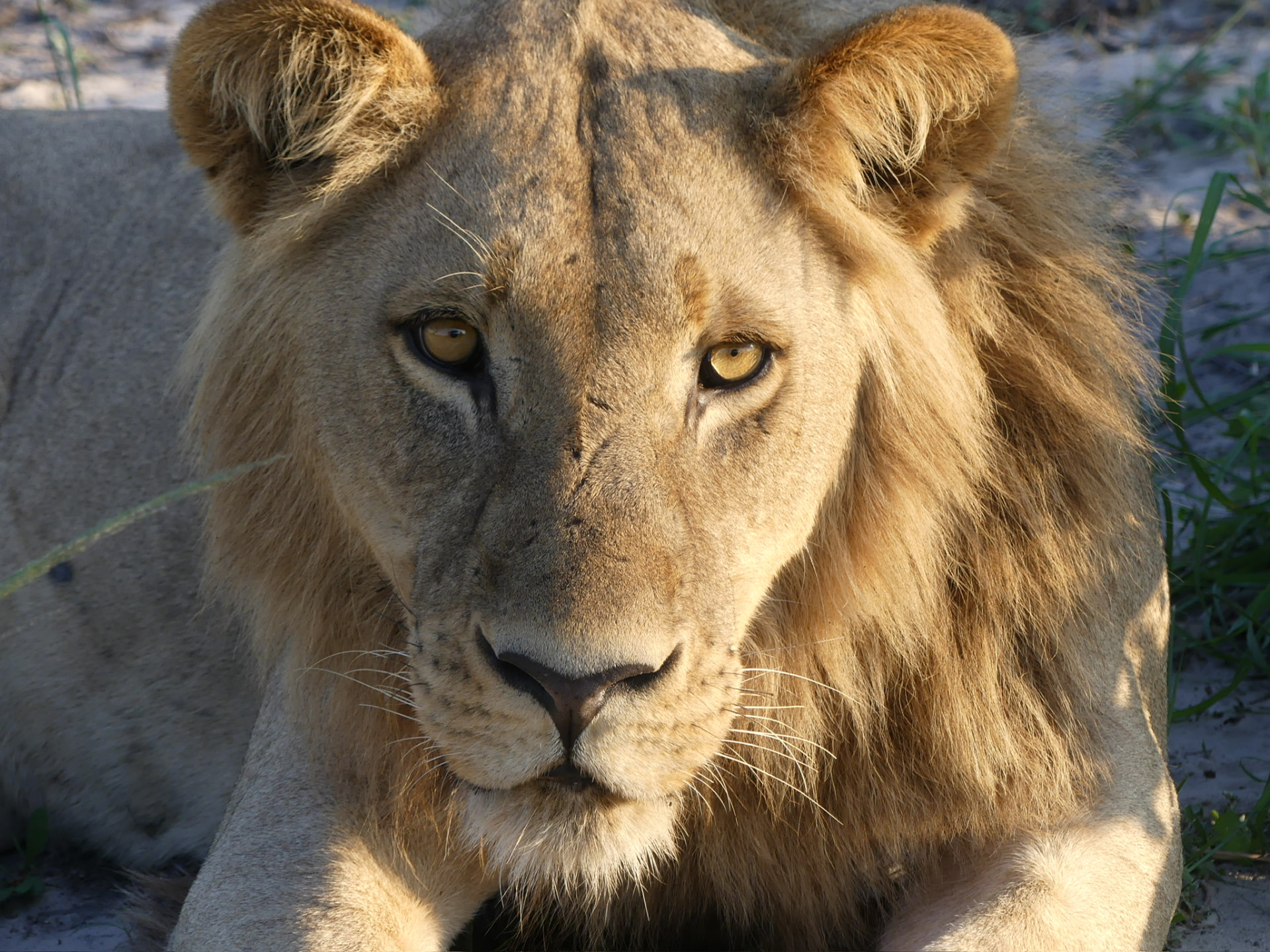 From African Safari to the Winelands — Wild beauty, extraordinary encounters and the art of living well.