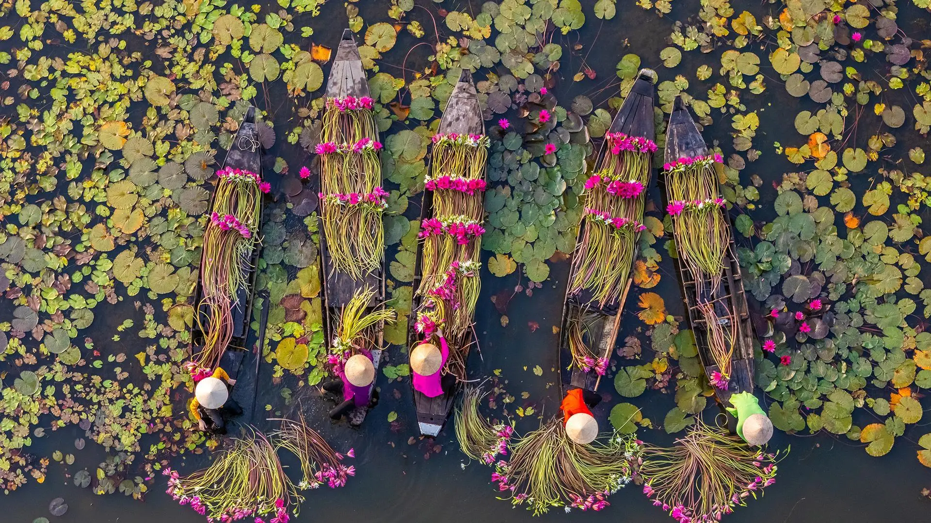 Colours of South-East Asia — A tapestry of colour, culture and unforgettable experiences.
